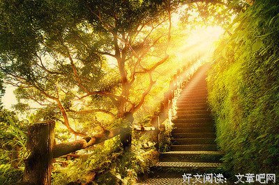关于证严的名言