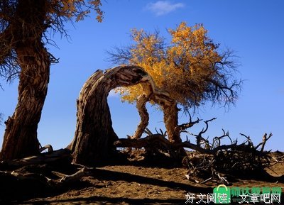 《在爱的名义下》观后感精选10篇
