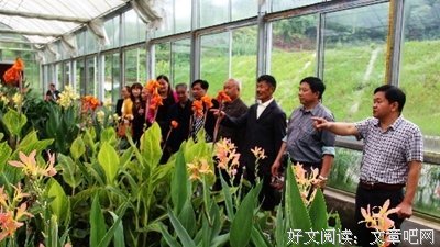 《银蛇谋杀案》经典影评集