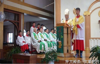 看完这个，如果要有信德，请你跪下！（含泪反思）