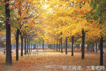 【每日灵修】常作准备，常存见证