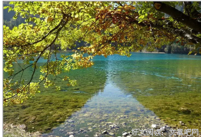醒悟：如果你四十几岁了，你可以看看这篇文章了