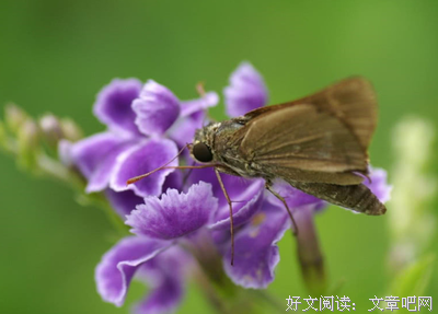 坏运气清零，这些星座从九月开始便都是好运