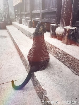 季小猫：我的骄傲与伟大