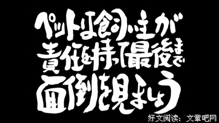 银魂名句欣赏