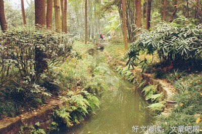 AJ13熊猫复刻：匆匆五载，别来无恙。