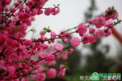 缘优美的句子