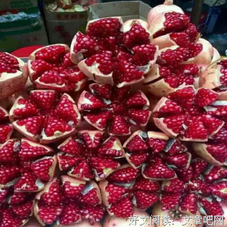 诙谐诙谐，洒脱洒脱的优美句子