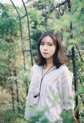 《萤火下只森》优美的句子