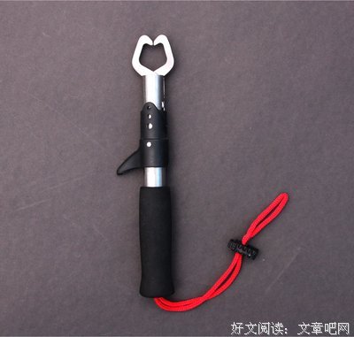 泰戈里是的优美句子