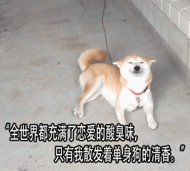 小缘的语句摘抄_关于小缘的语句
