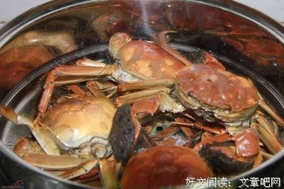 闯缸鱼