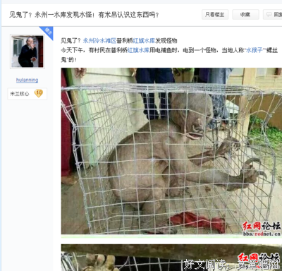 关于偏听偏信的语句
