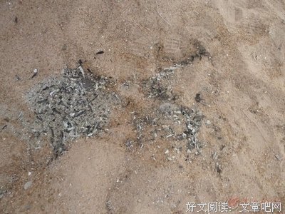荣光映耀下的龌蹉：“他怎么可能做这种事？”