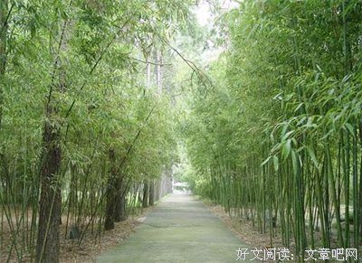 有关芭芭拉·安吉丽的美句摘抄