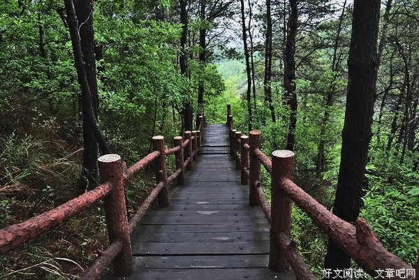 《定军山》观后感10篇