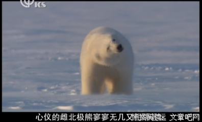 作边数觉来有心触觉经典的句子