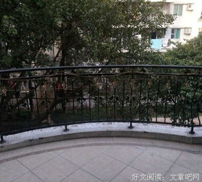 蝶舞的优美句子