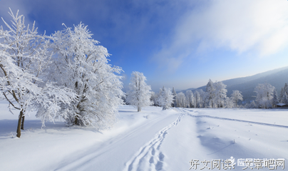 描写小静的经典句子