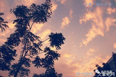高穹：那年……后年……