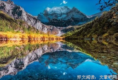 领养 |【8月25日】打不败的星星