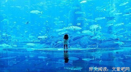 心还爱着彼此，身边却有了别人 | 答惑