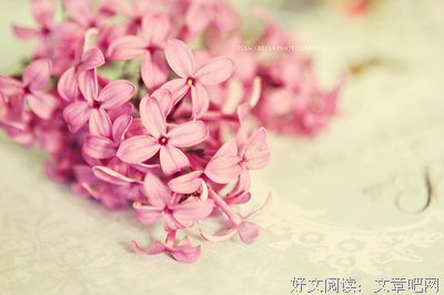 《互联网》经典的句子