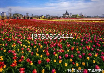 做人,靠真心,做事,靠勤劳