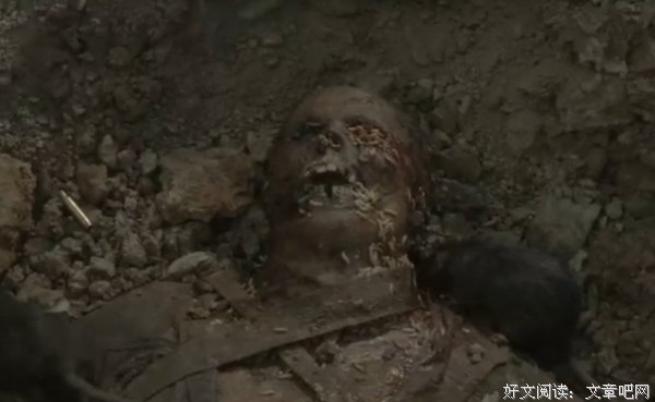 《海军陆战队员》影评精选10篇