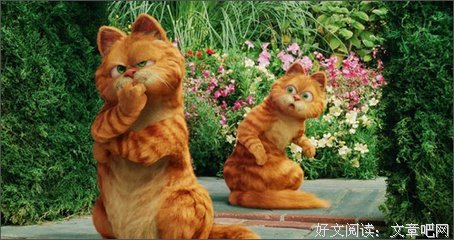 《霍顿与无名氏》好看吗？经典观后感10篇