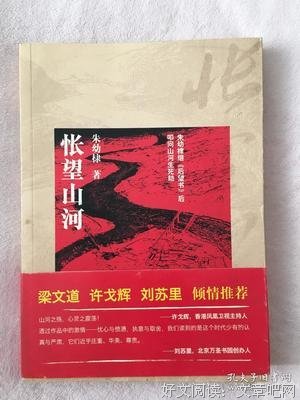 《怅望山河》读后感10篇