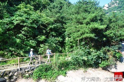 闲时感悟经典名句