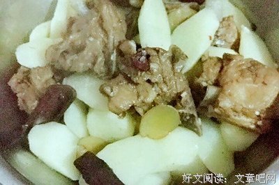 小夭句子大全