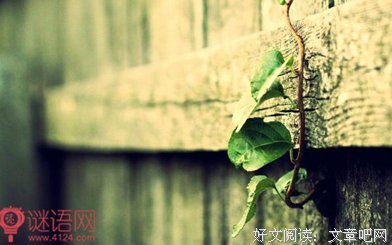 有关多情为你的句子