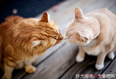 15条关于沁人肺腑的经典语句