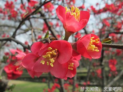 看透这三件事，就不会在婚姻问题上愁白了头