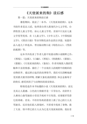 《天使学》经典读后感10篇