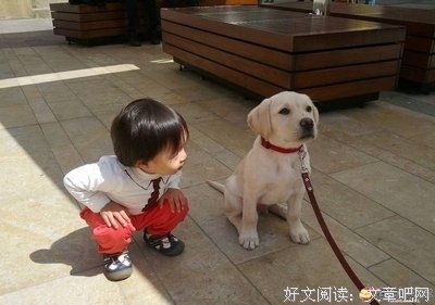 这个男人20年没变。