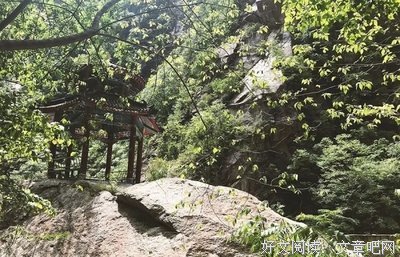早读：好习惯赢得好人生