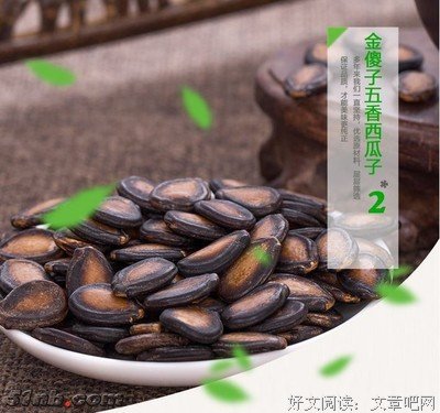 有关笨蛋瓜的句子
