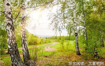 着天气走想优美的句子