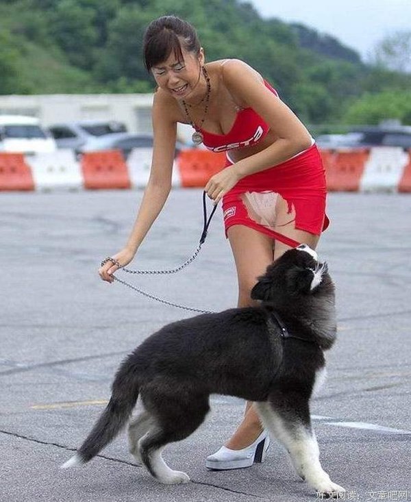 简二狗的妖孽人生的优美句子