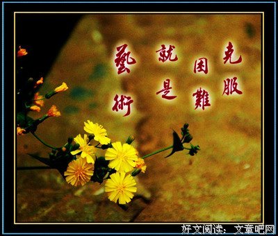 有人会样作教训有人月了你成长*经典名句