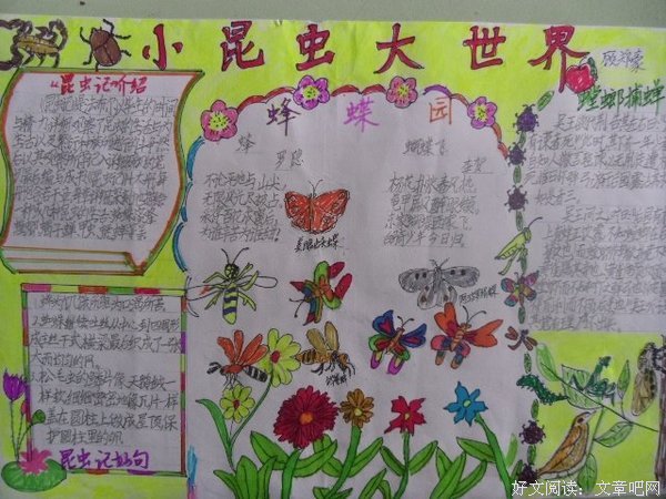 有关以小见大的美句摘抄