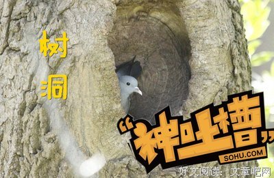 树洞|男友说他看小电影是为了新鲜感，这样正常吗？