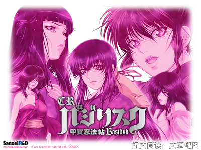 《甲贺忍法帖》观后感10篇