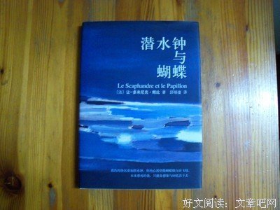 《潜水钟与蝴蝶》观后感10篇