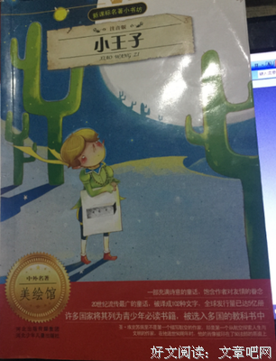 面包树上的女人的读后感10篇