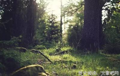 跟小约翰一起读以弗所书07 | 与基督联合的双重意义（弗2章之二）