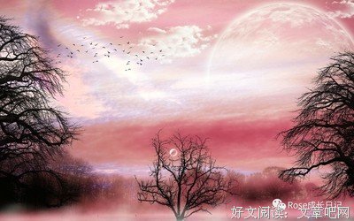 泰戈尔作品 | 牟云朗诵：美